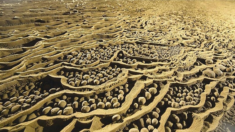 Việt Nam có 1 địa danh được Tạp chí Anh bình chọn là điểm du lịch kỳ thú, "phá đảo" kỷ lục thế giới, “tuổi đời” tận 3 triệu năm: Hút khách ra sao? du lich hang son doong quang binh 10 1624425354