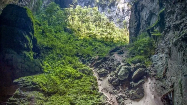 Tập phim về hang Sơn Đoòng của Planet Earth III được đề cử 2 giải Emmy