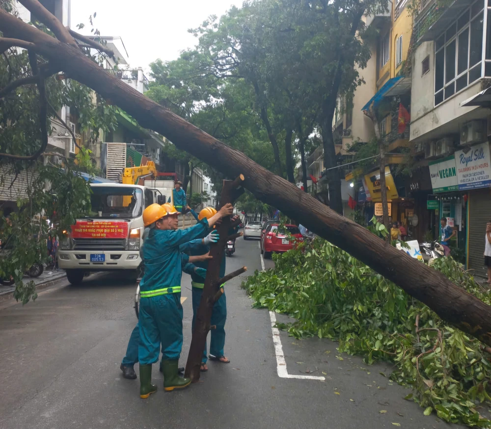 Nhân viên cây xanh Đồng Hới cắt cây, tạo lối đi tại phố Lê Thái Tổ, Hoàn Kiếm, Hà Nội 1000058007.jpg