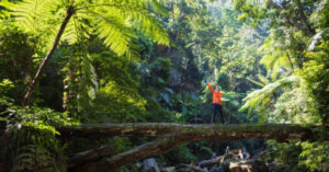 1725870285 thumbnail auto crop 640x335 watermark