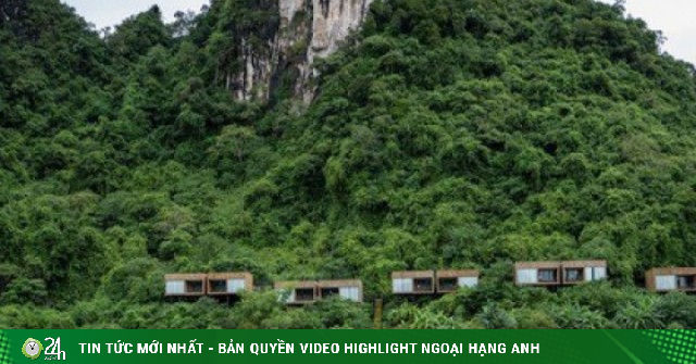 adt1726893777 canh dong co truoc tu lan lodge ngap anh cat 3 2 auto crop watermark