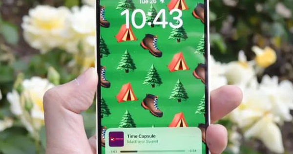 avatar1725189086844 1725189087870309122666 0 34 270 550 crop 17251892174062025887651