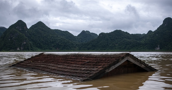 Hơn 400 nhà dân, chuồng trại ngập sâu trong lũ