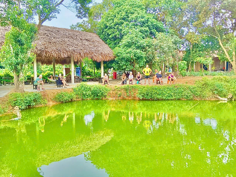 Làm du lịch trên những hố bom Không gian yên bình tại Tang’s Farm.
