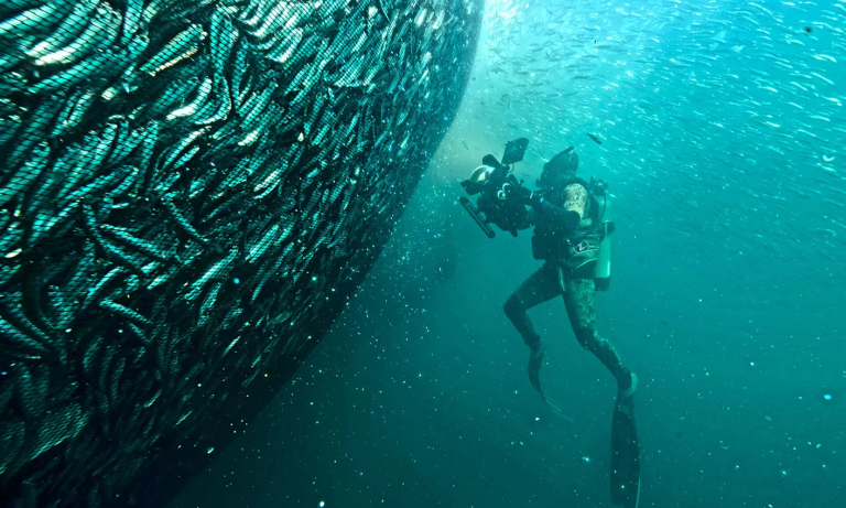 Review – ‘Planet Earth III’