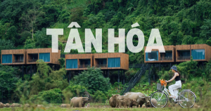 tan hoa 17269064822381813482986 118 0 956 1600 crop 1726906495817721458072