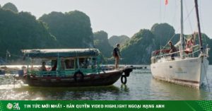 1728446764 298 thumbnail width740height495 anh cat 3 2 auto crop watermark