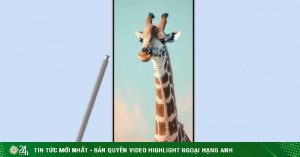 1729611570 818 thumbnail width740height495 anh cat 3 2 auto crop watermark