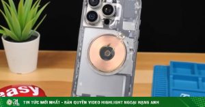 2 1728641807 294 width740height495 auto crop watermark