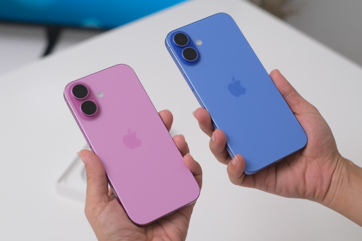 DSCF0856copy 1728522946 8181 1728523219