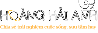 HOÀNG HẢI ANH Website