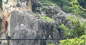 avatar1728735795810 17287357959821631798851 0 162 274 600 crop 17287358262601135879916