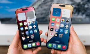 dsc01839 1727999766 7695 1727999916