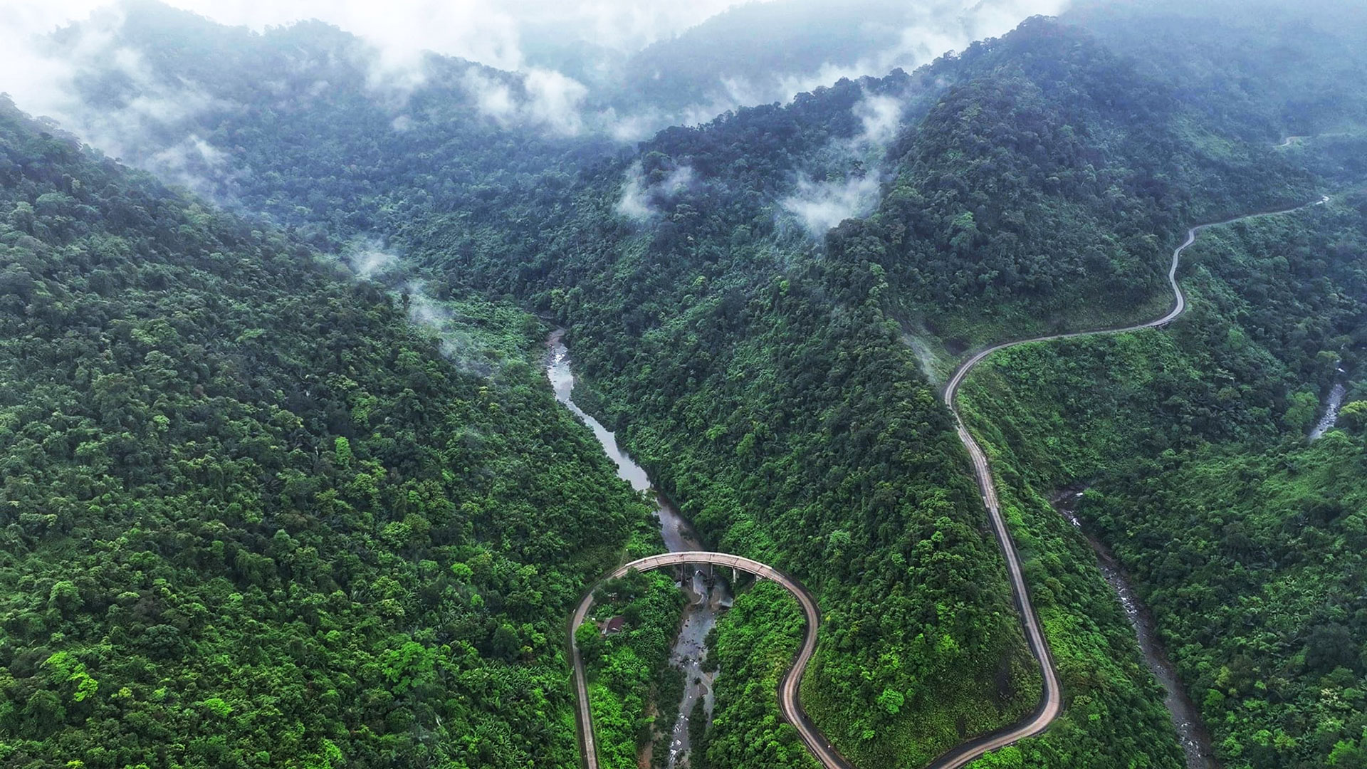 - Ảnh 1. - Ảnh 1.