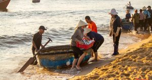 img5043 16952896854021985567644 1725590719580975230168 83 0 1333 2000 crop 17280723589921699938554