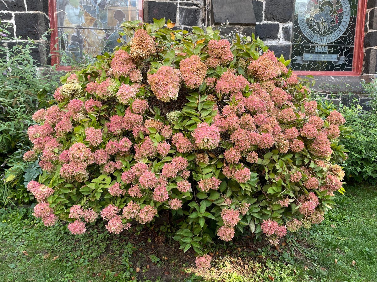 Chỉ sau 4 năm mà chất lượng lên cao đến mức đáng kinh ngạc Đọ hiệu năng camera iPhone 16 và iPhone 12: Nhiều thay đổi ấn tượng - Ảnh 2.