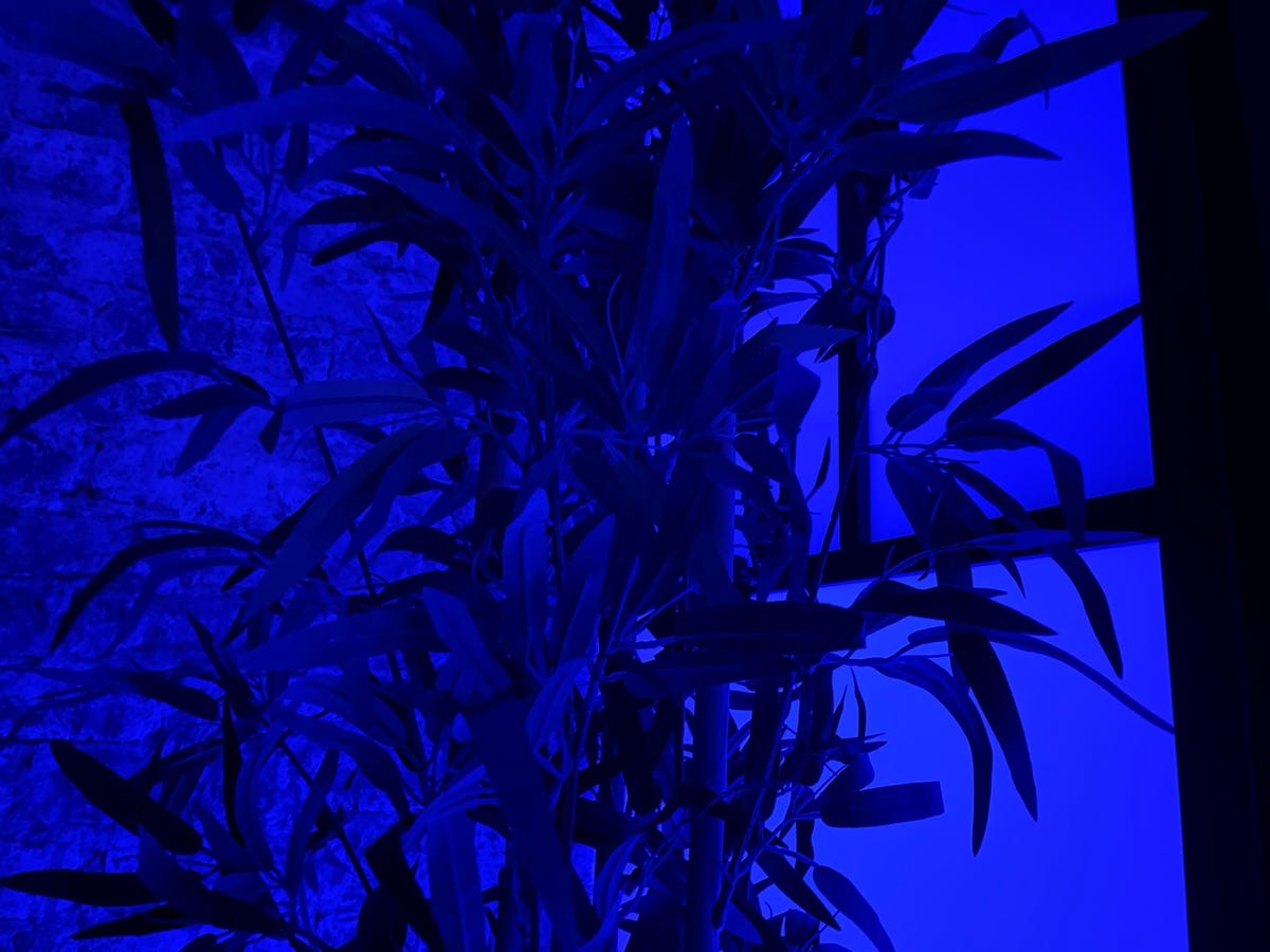 Chỉ sau 4 năm mà chất lượng lên cao đến mức đáng kinh ngạc Đọ hiệu năng camera iPhone 16 và iPhone 12: Nhiều thay đổi ấn tượng - Ảnh 12.