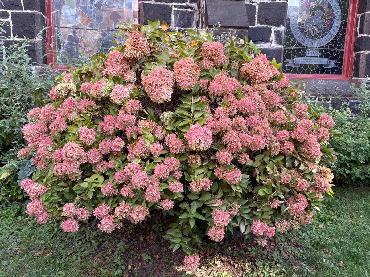 Chỉ sau 4 năm mà chất lượng lên cao đến mức đáng kinh ngạc Đọ hiệu năng camera iPhone 16 và iPhone 12: Nhiều thay đổi ấn tượng - Ảnh 1.