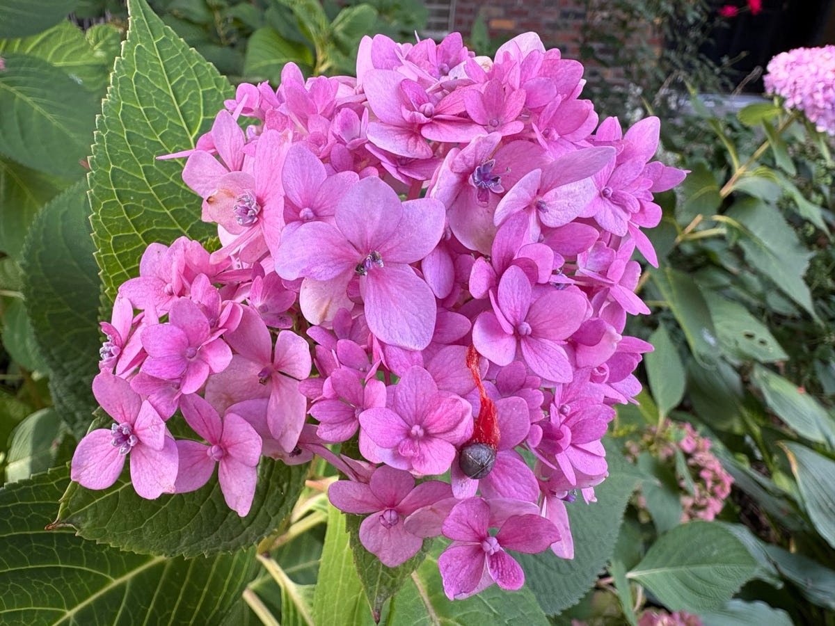 Chỉ sau 4 năm mà chất lượng lên cao đến mức đáng kinh ngạc Đọ hiệu năng camera iPhone 16 và iPhone 12: Nhiều thay đổi ấn tượng - Ảnh 5.