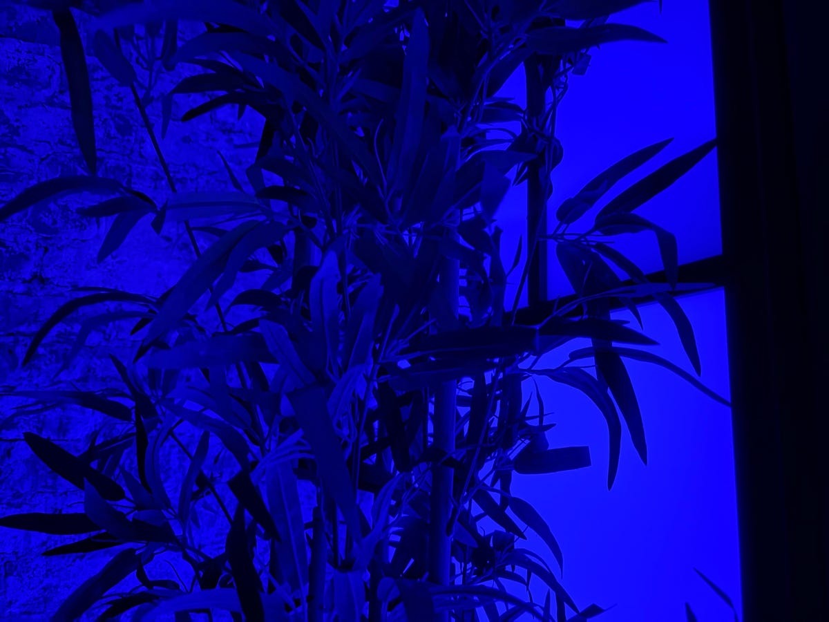 Chỉ sau 4 năm mà chất lượng lên cao đến mức đáng kinh ngạc Đọ hiệu năng camera iPhone 16 và iPhone 12: Nhiều thay đổi ấn tượng - Ảnh 11.