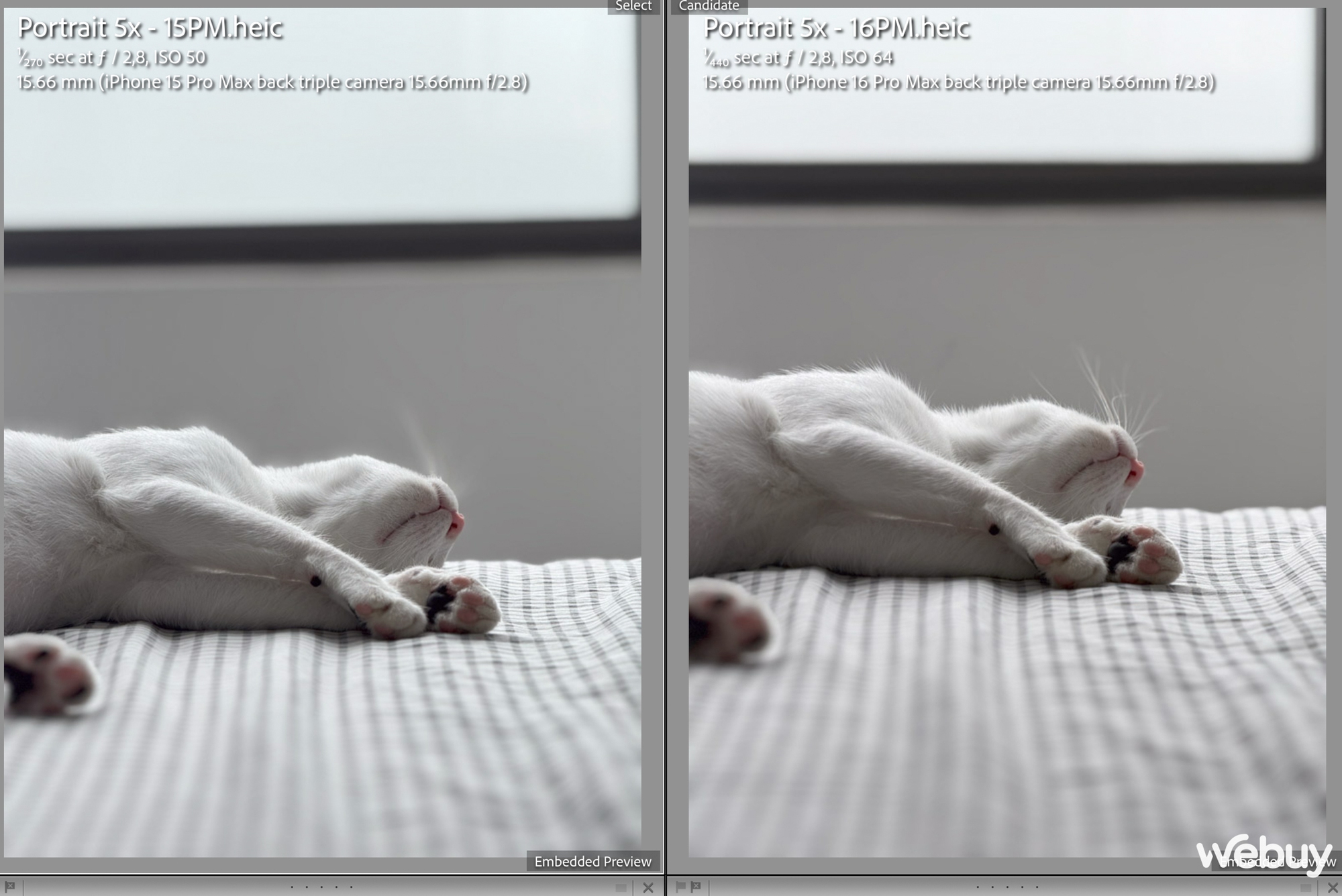 "Camera iPhone 16 Pro Max chẳng khác đời trước", thực tế sử dụng ra sao? screenshot 2024 09 29 at 212407 17281065712091534519977 1728110050531 17281100507211411357003