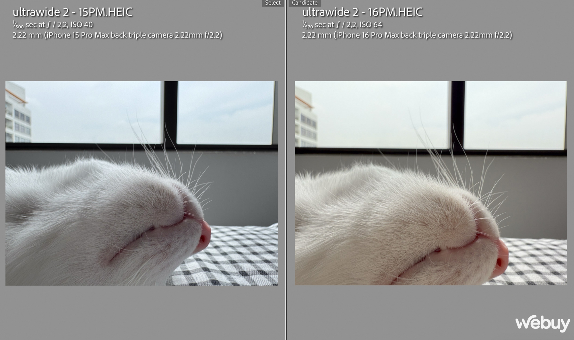 "Camera iPhone 16 Pro Max chẳng khác đời trước", thực tế sử dụng ra sao? screenshot 2024 09 29 at 212442 17281066003051070787429 1728110052985 1728110053144920039752