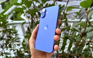 1730666394 fbsscover