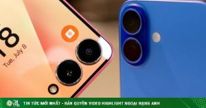 1756438296 496 thumbnail width740height495 anh cat 3 2 auto crop watermark