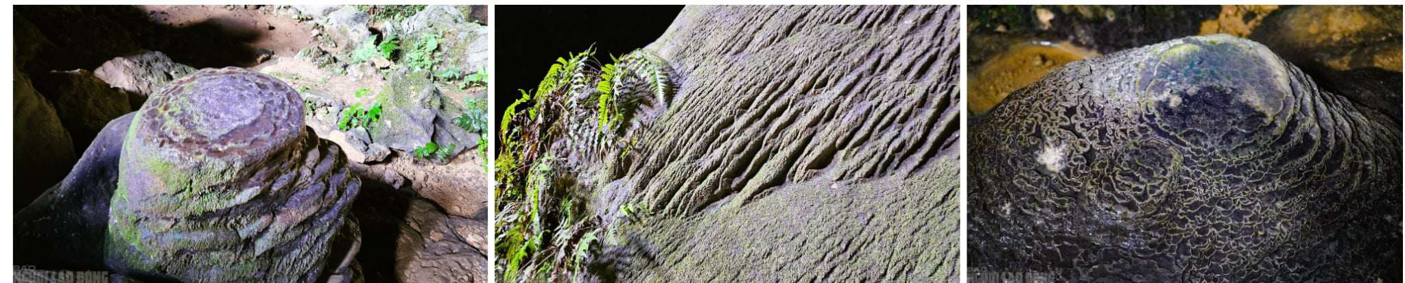 Có một "Sơn Đoòng" đẹp nao lòng giữa đại ngàn Pù Luông Có một "Sơn Đoòng" đẹp nao lòng giữa đại ngàn Pù Luông - 7