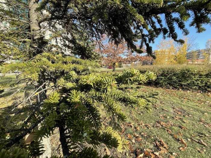 Đây là iPhone màn OLED rẻ nhất Việt Nam, trang bị chẳng kém iPhone 16 nhiều nhưng chỉ hơn 4 triệu iphone-12-mini-ct-2-1676344851.jpg