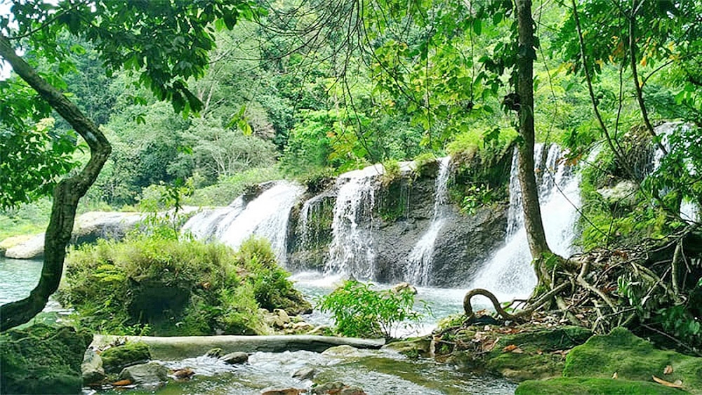 tuan du lich quang binh 2025 se khai mac vao toi 23 5 hinh anh 4