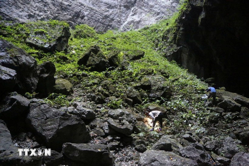 ttxvn phong nha ke bang1