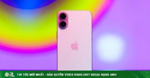 1756192989 779 thumbnail width740height495 anh cat 3 2 auto crop watermark