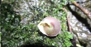 avatar1756797533390 17567975340861751561081 20 0 291 518 crop 1756797622507309687806