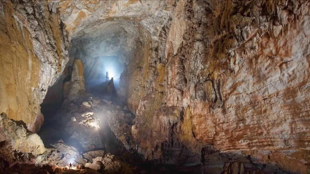 1000025858 6091 9994.jpg.webp