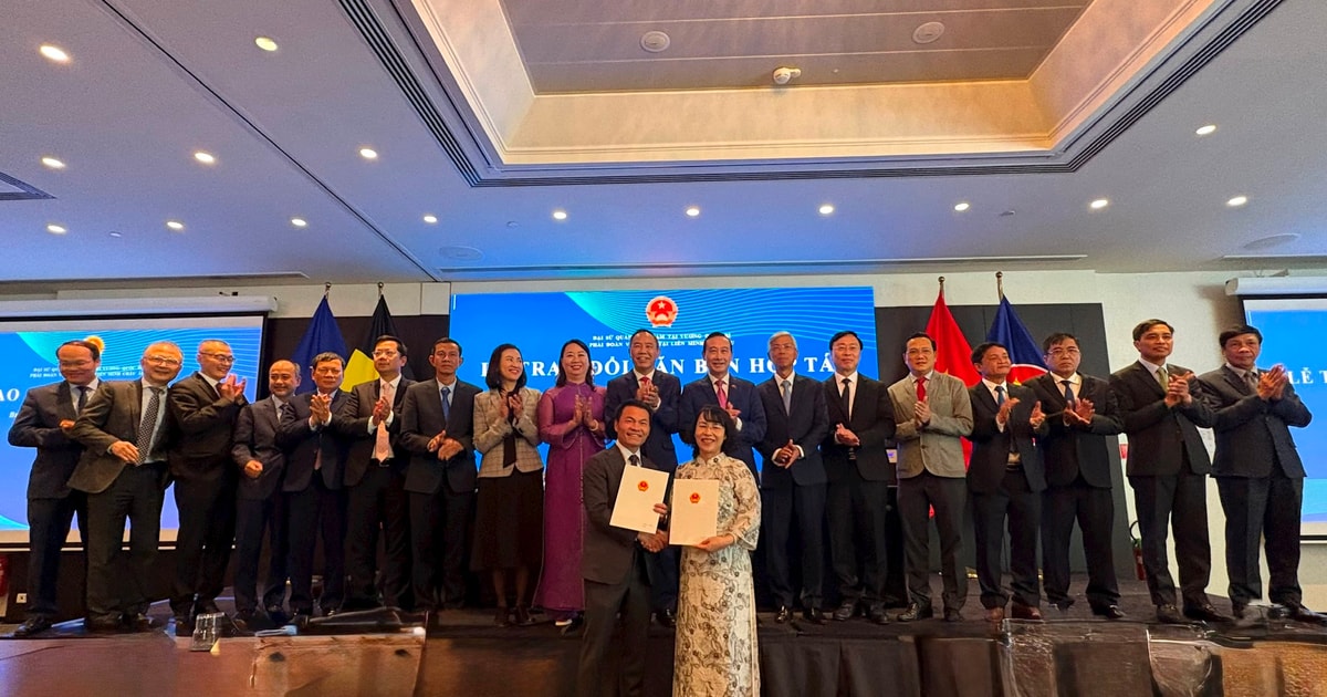 1763702335 z6684283178998 99d5da0454bb71fc18562dd90164665b