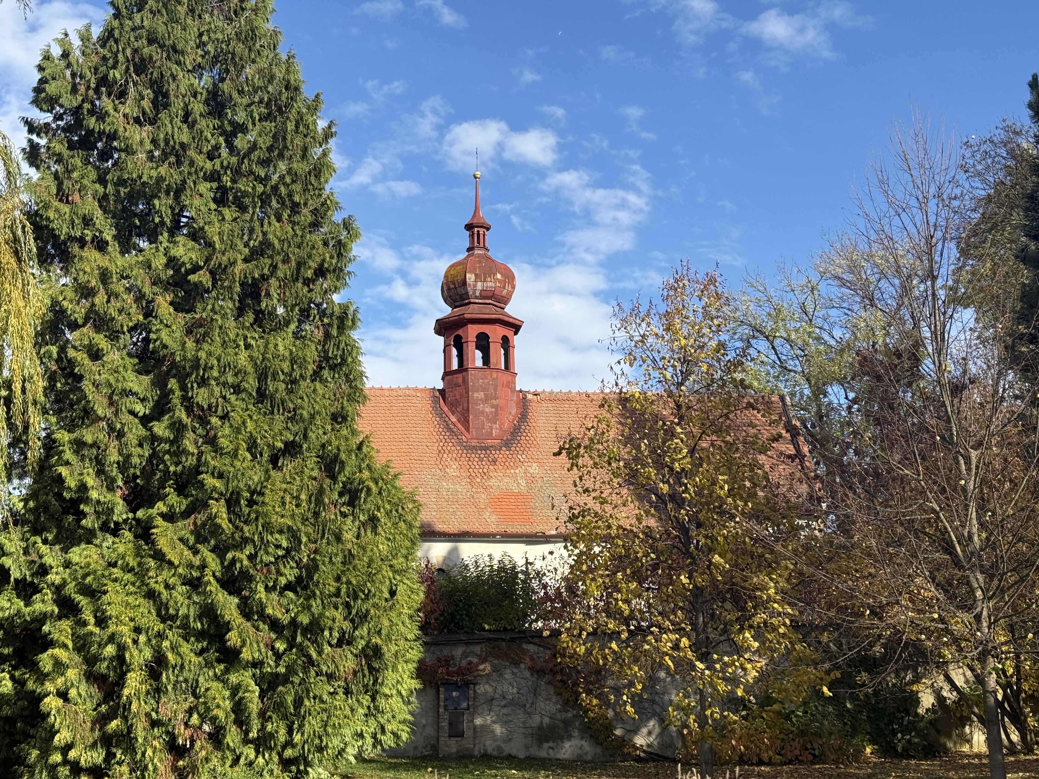 iPhone 16 pro foto 19