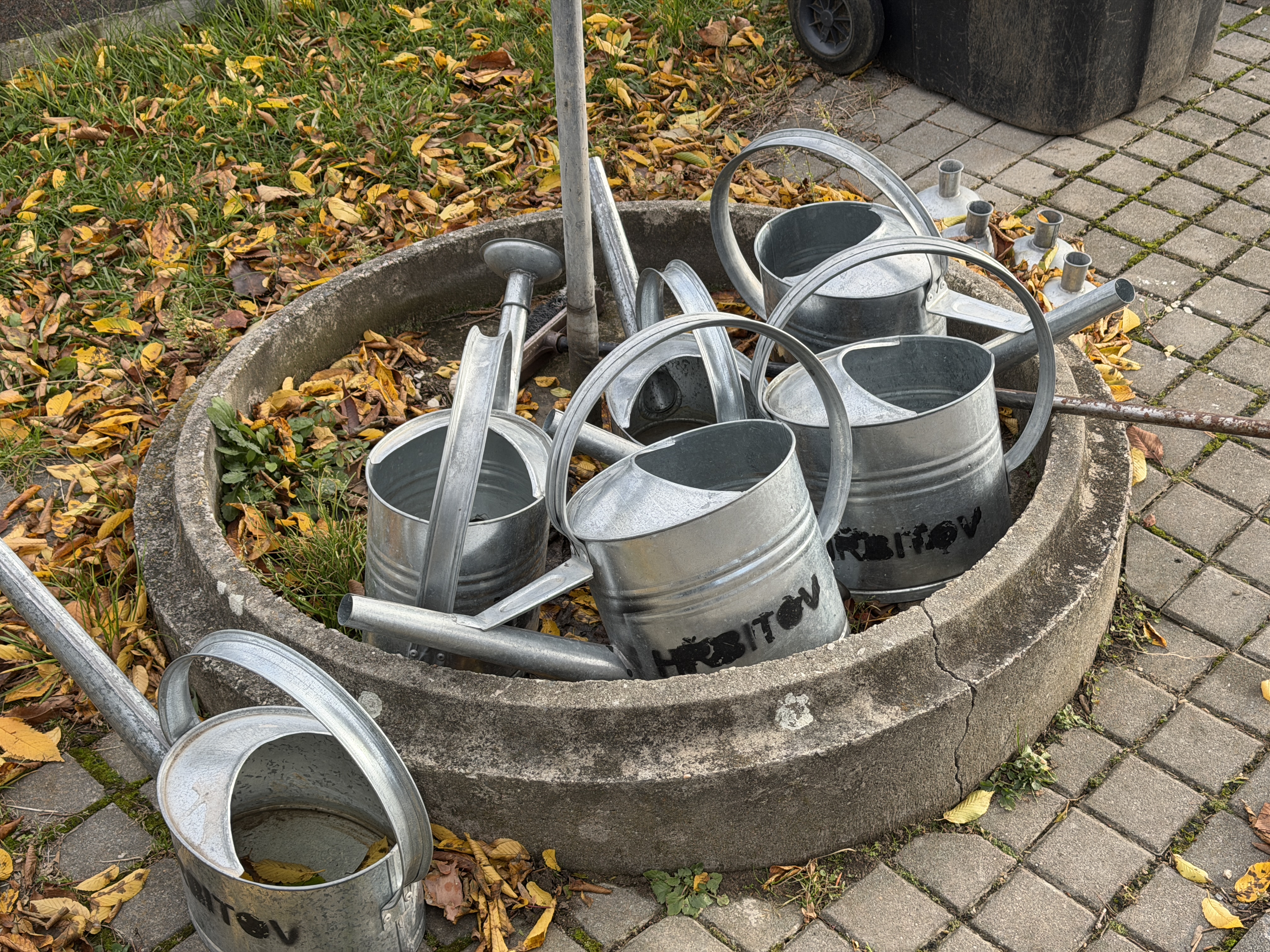 iPhone 17 Pro foto 12