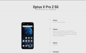 nuibia gia re 19112025112554