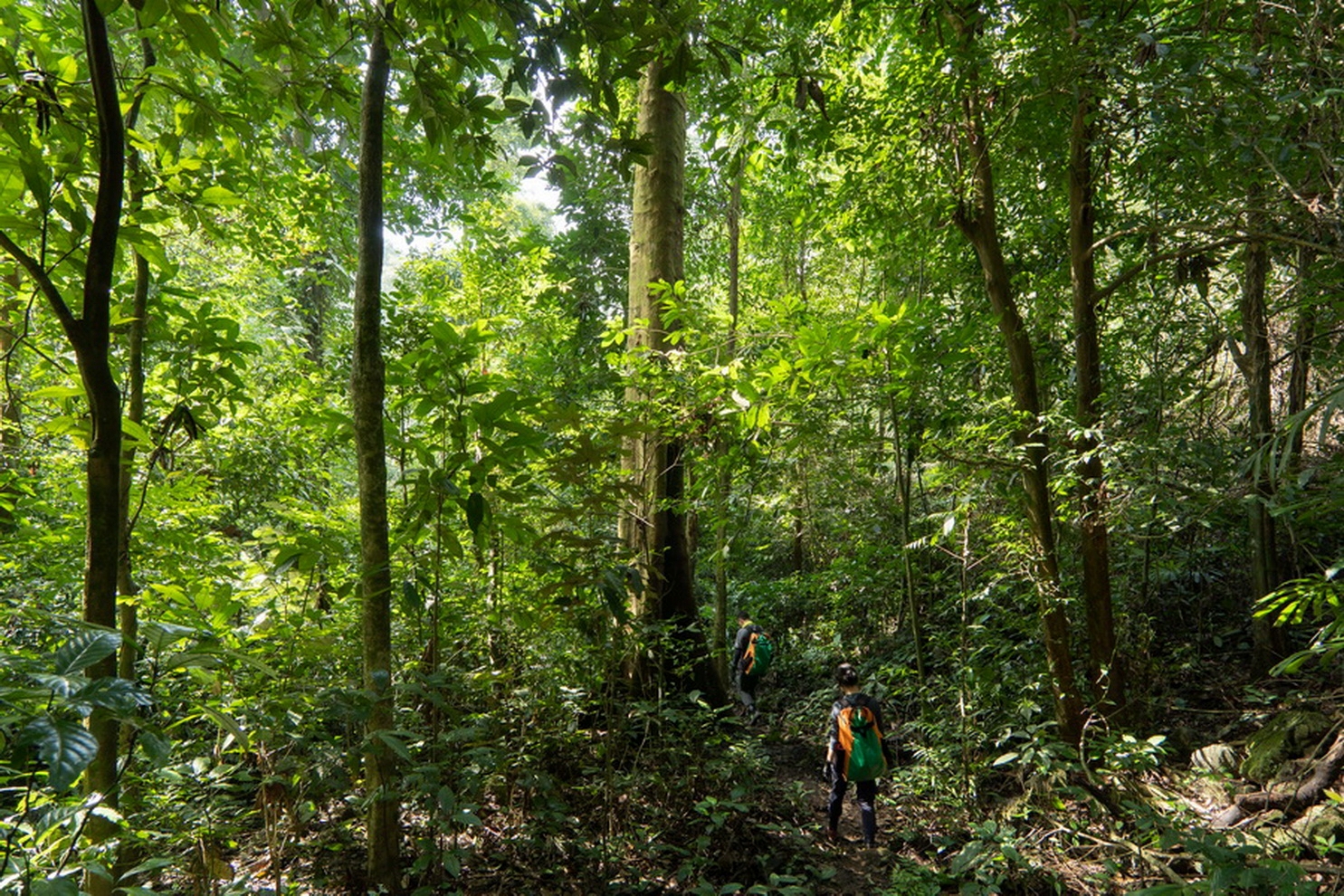 Hết vé tham quan hang Sơn Đoòng trong 2 năm tới do nhu cầu tăng cao - 1