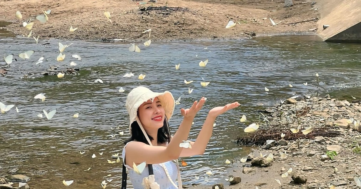 1767184149 16d49e23 7159 448d ac6e 0750ee74c951