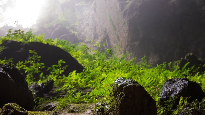 Muốn chi 3.000 USD thám hiểm hang động lớn nhất thế giới tại Việt Nam, du khách phải chờ 2 năm Trong hang Sơn Đoòng như một thế giới tách biệt với thảm rừng nguyên sinh, sông ngầm và khí hậu riêng