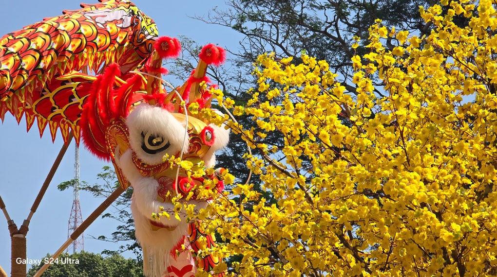 Ảnh chụp từ chế độ 12 MP - Zoom 3X trên S24 Ultra