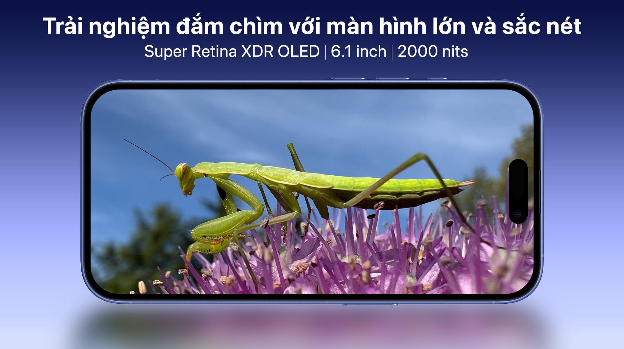 iPhone 16 trang bị màn hình Super Retina XDR OLED