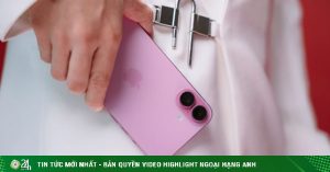 1 1769164434 355 width740height495 auto crop watermark