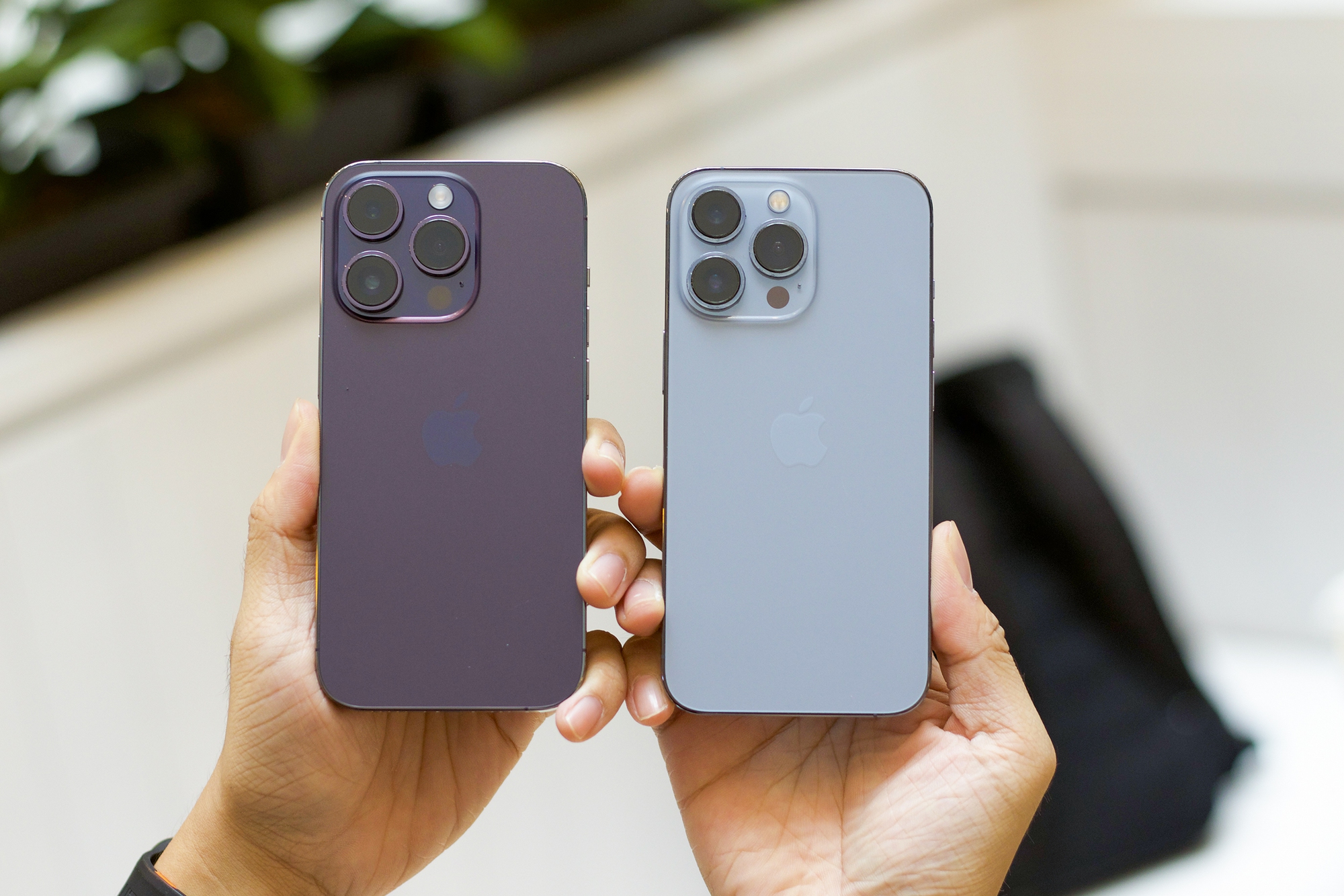 bb333f43 2c7e 4690 a654 95101af515cc 6204 copy 1771004441287 17710044418041164969316